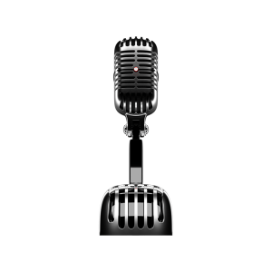 Recording Mic